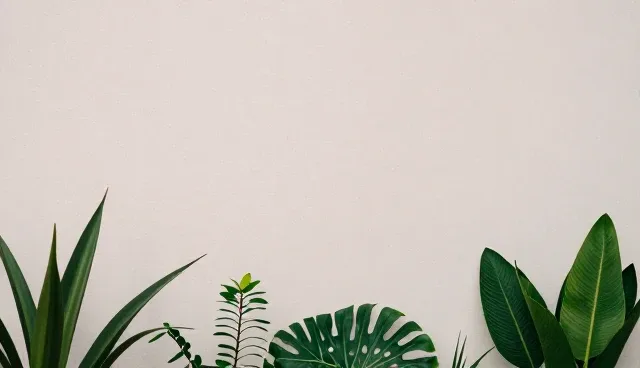网络性能评估：两种常见做法的实际取舍